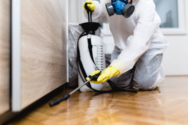 Best Wasp Removal Services  in Clanton, AL