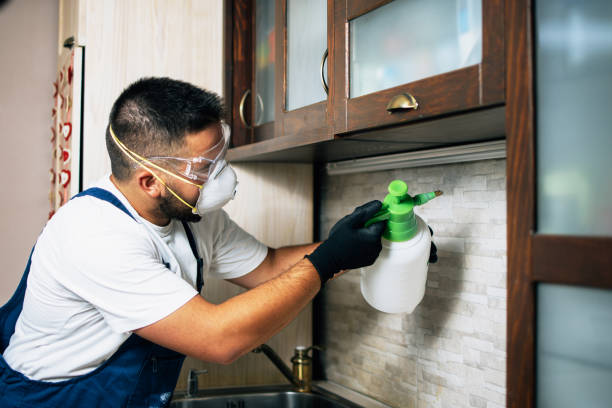 Best Insect Control  in Clanton, AL