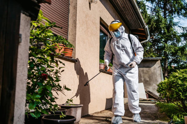 Best Pest Removal Services  in Clanton, AL
