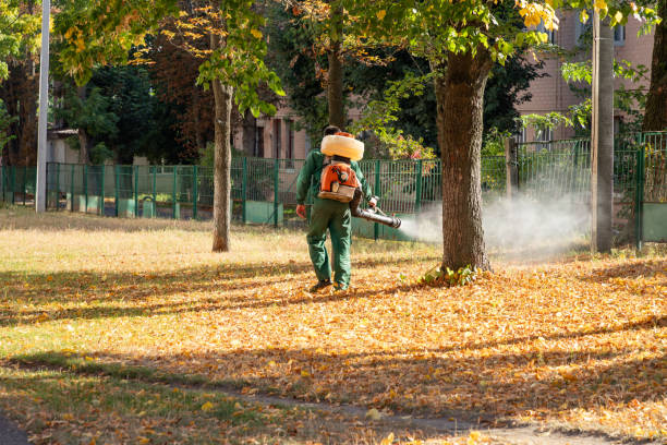 Insect Control in Clanton, AL