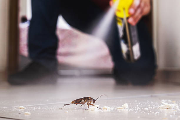 Professional Pest Control in Clanton, AL