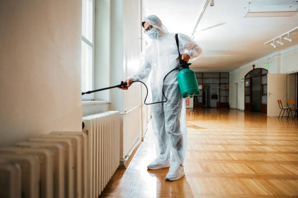 Best Ant Control Services  in Clanton, AL